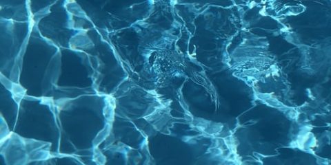 hard water