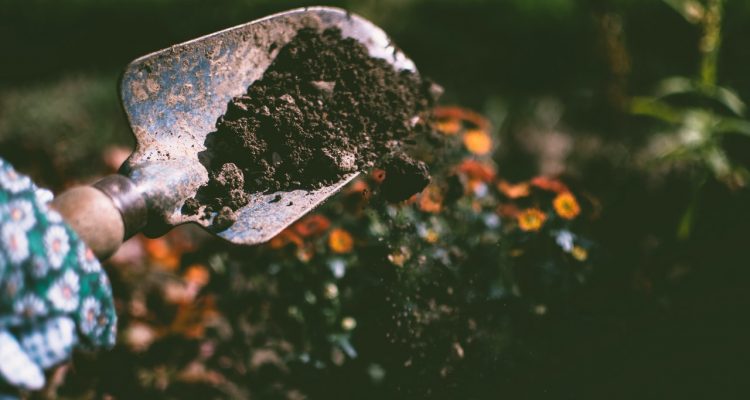 Geen zin om uw tuin bij te werken? Schakel een expert in
