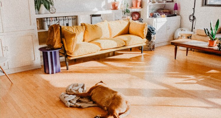 Welke ondervloer bij laminaat