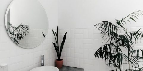 Planten in de badkamer