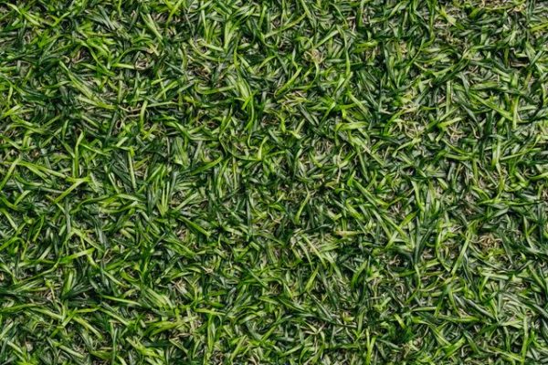 kunstgras