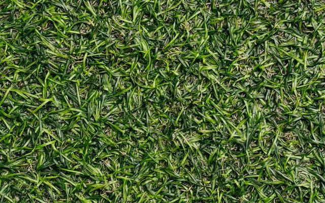kunstgras