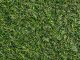 kunstgras